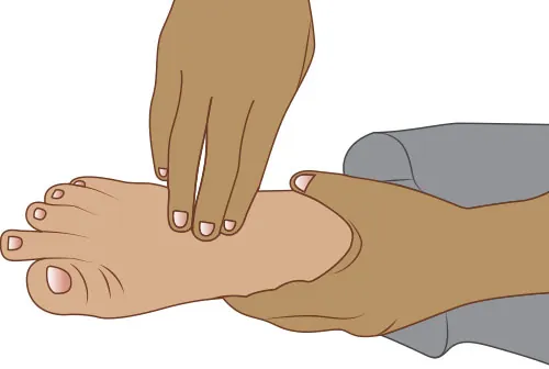 Diagram showing taking dorsalis pulse