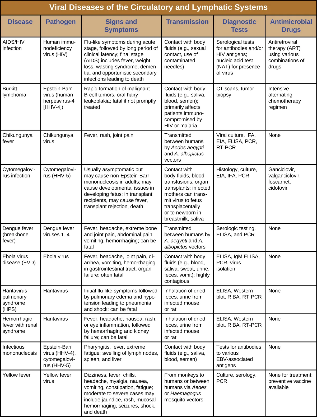 Table titled: Viral Diseases of the Circulatory and Lymphatic Systems. Columns: Disease, Pathogen, Signs and Symptoms, Transmission, Diagnostic Tests, Antimicrobial Drugs. AIDS/HIV infection; Human immunodeficiency virus (HIV); Flu-like symptoms during acute stage, followed by long period of clinical latency; final stage (AIDS) includes fever, weight loss, wasting syndrome, dementia, and opportunistic secondary infections leading to death; Contact with body fluids (e.g., sexual contact, use of contaminated needles); Serological tests for antibodies and/or HIV antigens; nucleic acid test (NAT) for presence of virus; Antiretroviral therapy (ART) using various combinations of drugs. Burkitt lymphoma; Epstein-Barr virus (human herpesvirus-4 [HHV-4]); Rapid formation of malignant B-cell tumors, oral hairy leukoplakia; fatal if not promptly treated; Contact with body fluids (e.g., saliva, blood, semen); primarily affects patients immunocompromised by HIV or malaria; CT scans, tumor biopsy; Intensive alternating chemotherapy regimen. Chikungunya fever; Chikungunya virus; Fever, rash, joint pain ; Transmitted between humans by Aedes aegypti and A. albopictus vectors; Viral culture, IFA, EIA, ELISA, PCR, RT-PCR; None. Cytomegalovirus infection; Cytomegalovirus (HHV-5); Usually asymptomatic but may cause non-Epstein-Barr mononucleosis in adults; may cause developmental issues in developing fetus; in transplant recipients, may cause fever, transplant rejection, death; Contact with body fluids, blood transfusions, organ transplants; infected people can transmit virus to fetus transplacentally or to newborn in breastmilk, saliva; Histology, culture, EIA, IFA, PCR; Ganciclovir, valganciclovir, foscarnet, cidofovir. Dengue fever (breakbone fever); Dengue fever viruses 1–4; Fever, headache, extreme bone and joint pain, abdominal pain, vomiting, hemorrhaging; can be fatal Transmitted between humans by A. aegypti and A. albopictus vectors; Serologic testing, ELISA, and RT-PCR; None. Ebola virus disease (EVD); Ebola virus; Fever, headache, joint pain, diarrhea, vomiting, hemorrhaging in gastrointestinal tract, organ failure; often fatal; Contact with body fluids (e.g., blood, saliva, sweat, urine, feces, vomit); highly contagious; ELISA, IgM ELISA, PCR, and virus isolation; None. Hantavirus pulmonary syndrome (HPS); Hantavirus; Initial flu-like symptoms followed by pulmonary edema and hypotension leading to pneumonia and shock; can be fatal; Inhalation of dried feces, urine from infected mouse or rat; ELISA, Western blot, RIBA, RT-PCR; None. Hemorrhagic fever with renal syndrome; Hantavirus; Fever, headache, nausea, rash, or eye inflammation, followed by hemorrhaging and kidney failure; can be fatal Inhalation of dried feces, urine from infected mouse or rat; ELISA, Western blot, RIBA, RT-PCR; None. Infectious mononucleosis; Epstein-Barr virus (HHV-4), cytomegalovirus (HHV-5); Pharyngitis, fever, extreme fatigue; swelling of lymph nodes, spleen, and liver; Contact with body fluids (e.g., saliva, blood, semen); Tests for antibodies to various EBV-associated antigens; None. Yellow fever; Yellow fever virus; Dizziness, fever, chills, headache, myalgia, nausea, vomiting, constipation, fatigue; moderate to severe cases may include jaundice, rash, mucosal, hemorrhaging, seizures, shock, and death; From monkeys to humans or between humans via Aedes or Haemagogus mosquito vectors; Culture, serology, PCR; None for treatment; preventive vaccine available.