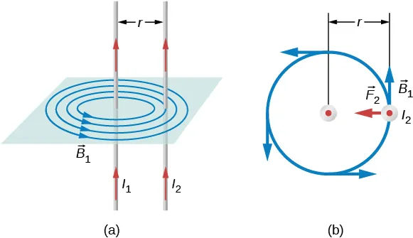 Rysunek (a) przedstawia dwa długie proste równoległe przewody odległe od siebie o r. Pole magnetyczne wytworzone przez jeden z przewodów jest prostopadłe do kierunku przepływu prądu. Rysunek (b) jest widokiem z góry. Pokazuje, że wektor F2 jest skierowany od jednego z przewodników do drugiego. Wektor B1 leży na tej samej płaszczyźnie co pole magnetyczne i jest prostopadły do F2.