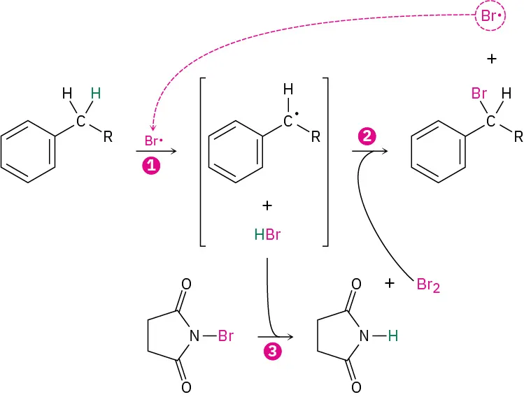 Three-step reaction of a B r plus ion wih a benzene ring bearing a C H 2 R group, in the presence of N bromosuccinimide.