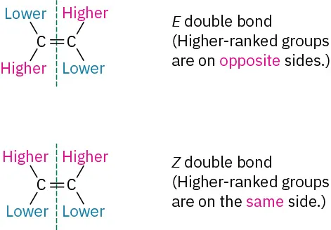 Two alkene structures. The first shows E double bond (higher-ranked group from each carbon positioned trans). The second shows Z double bond (higher-ranked group from each carbon positioned cis).