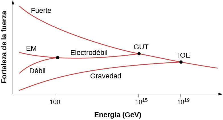 Gráfico de la fortaleza de la fuerza en función de la energía en GeV. Una curva marcada como fuerte se inclina hacia abajo y hacia la derecha. Un punto de la curva con un valor x de 10 a la potencia 19 está marcado como TOE. Una curva marcada como gravedad se ramifica desde aquí; baja y va hacia la izquierda. Un punto en la curva fuerte, con un valor de x de 10 a la potencia 15 está marcado como GUT, teoría de la gran unificación (Grand Unification Theory). Una curva que va hacia la izquierda se ramifica desde aquí. Está marcada como Electrodébil. Se bifurca en dos en un punto con un valor x de 100. La rama que va a la izquierda está marcada como EM (electromagnética) y la que va hacia abajo y a la izquierda está marcada como débil.