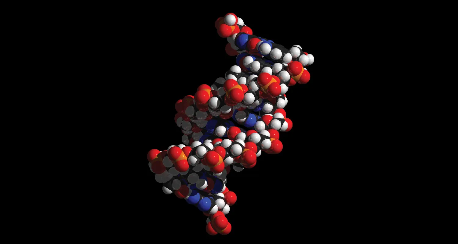 Photo of DNA model with red, blue, black, and white molecules.