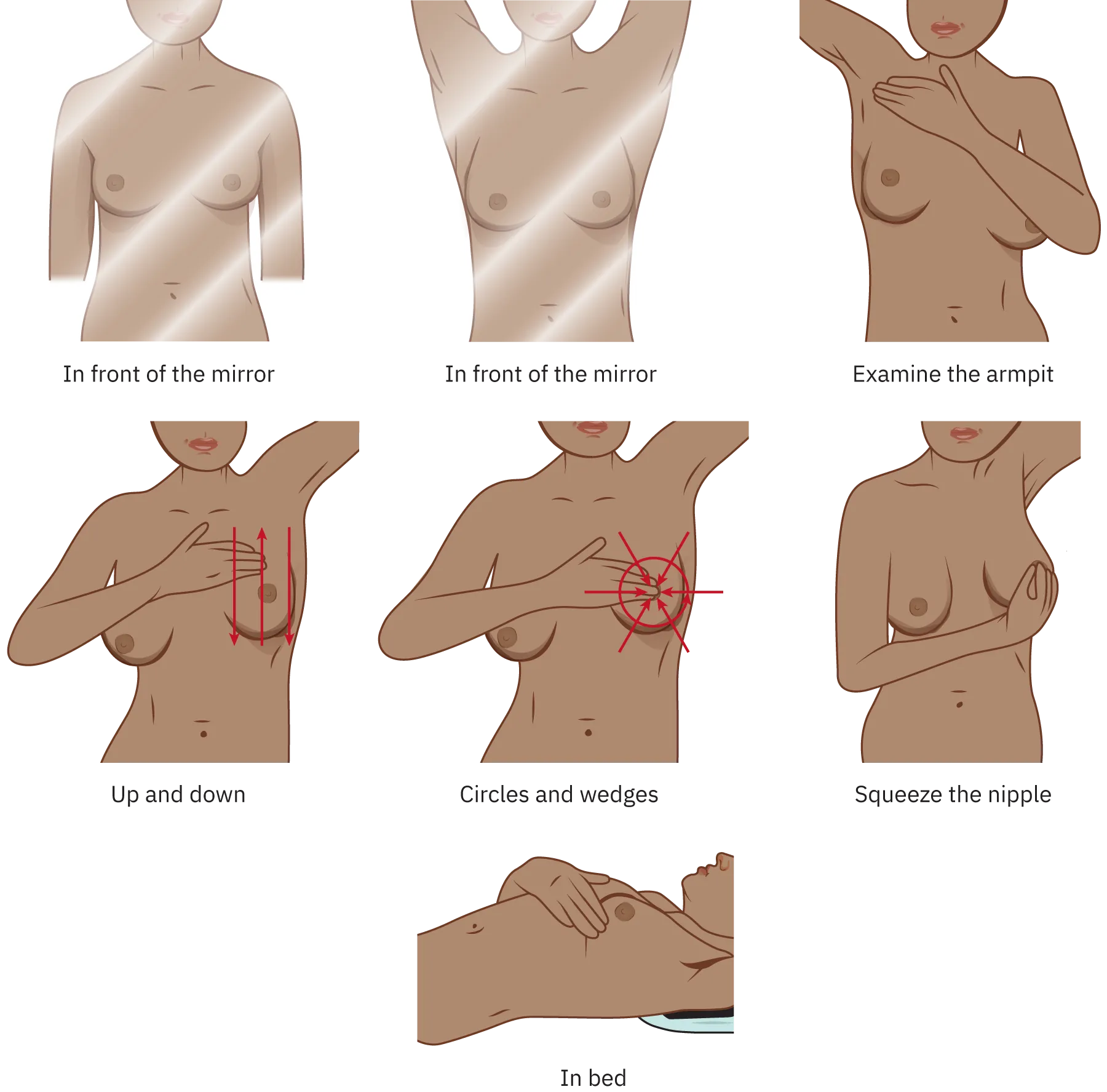 This illustration demonstrates self-examination for breast cancer. The image is divided into seven steps: 1. In front of the mirror: A person with arms relaxed at their sides. 2. In front of the mirror: A person with arms raised above their head. 3. Examine the armpit: A person using their hand to check their armpit. 4. Up and down: A person using their hand to move vertically along their breast. 5. Circles and wedges: A person using their hand to move in circular motions and wedge patterns on their breast. 6. Squeeze the nipple: A person gently squeezing their nipple. 7. In bed: A person lying down and using their hand to examine their breast.