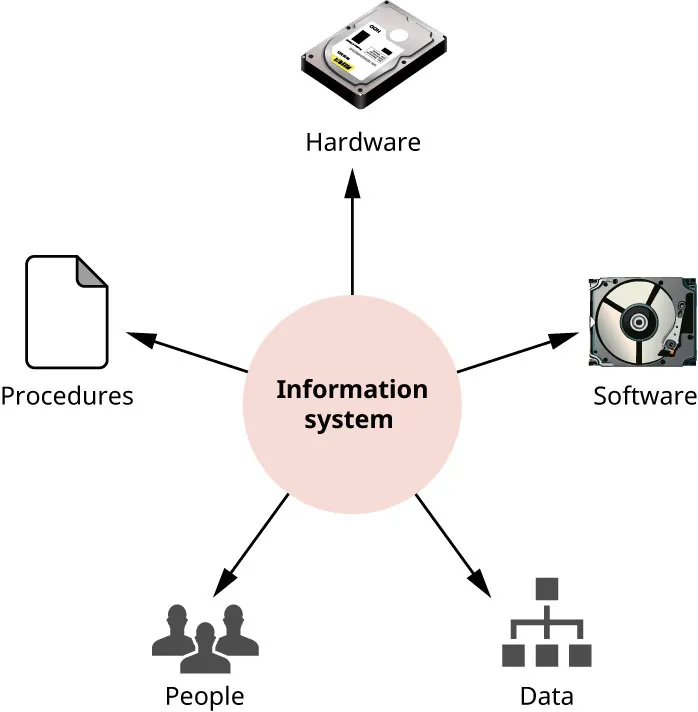 A diagram shows Information Systems connecting to Hardware, Software, Data, People, and Procedures.