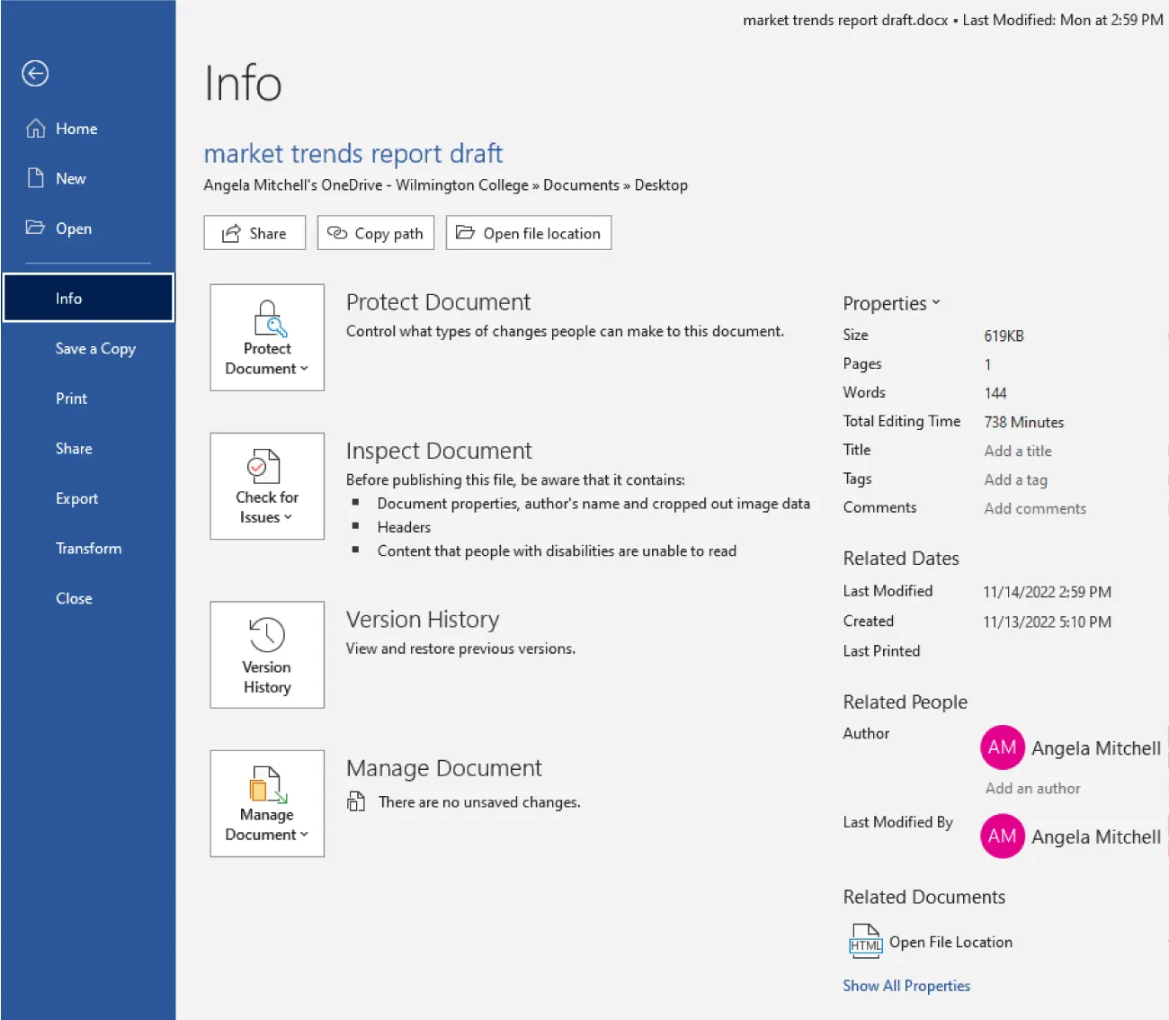 An Info screen displays a document with categories for: Protect Document, Inspect Document, Version History, and Manage Document. Properties of the document are listed such as size, pages, etc.