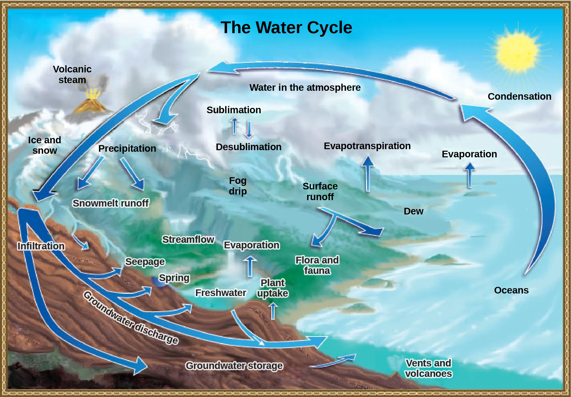 Illustration shows the water cycle. Water enters the atmosphere through evaporation, evapotranspiration, sublimation, and volcanic steam. Condensation in the atmosphere turns water vapor into clouds. Water from the atmosphere returns to the Earth via precipitation or desublimation. Some of this water infiltrates the ground to become groundwater. Seepage, freshwater springs, and plant uptake return some of this water to the surface. The remaining water seeps into the oceans. The remaining surface water enters streams and freshwater lakes, where it eventually enters the ocean via surface runoff. Some water also enters the ocean via underwater vents or volcanoes.