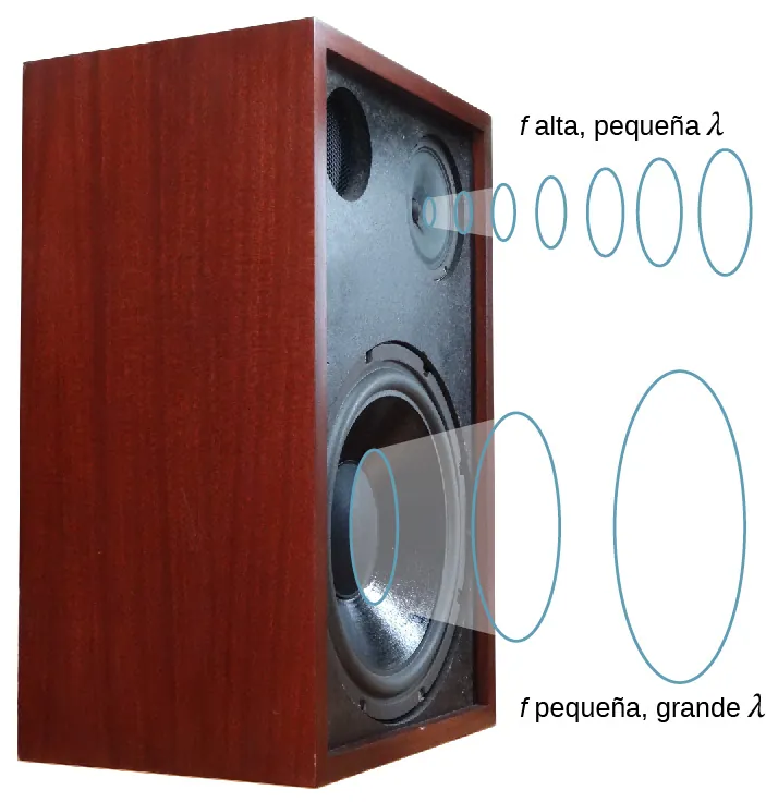 La imagen es un dibujo esquemático de un sistema de altavoces que emite ondas sonoras. Los sonidos de menor frecuencia son emitidos por el altavoz grande inferior; los sonidos de mayor frecuencia son emitidos por el altavoz pequeño superior.