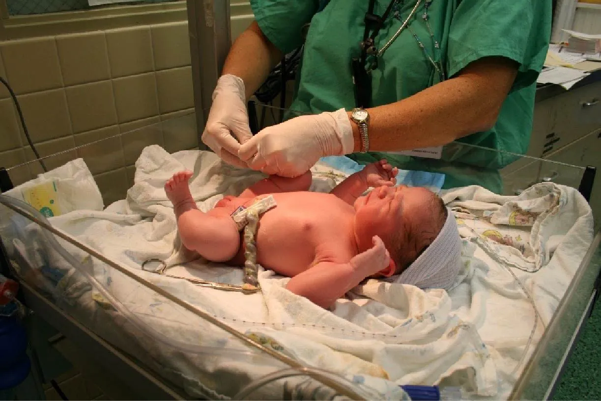 A nurse assesses a newborn baby.