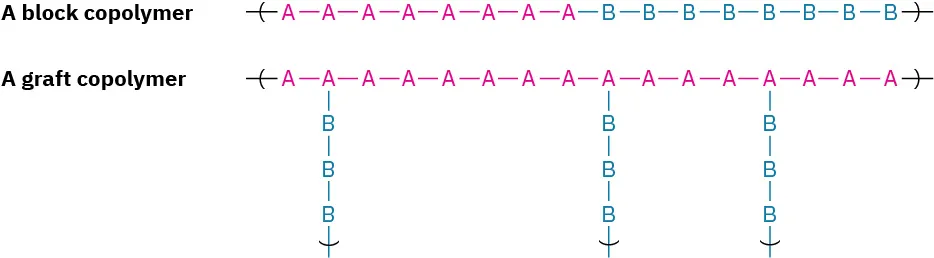Two copolymer structures. Block: many units of monomer A are followed by many units of monomer B. Graft: chains of Bs branch off a stem of As.