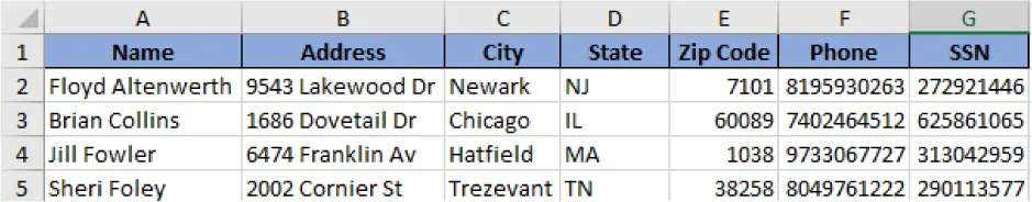 In the spreadsheet, the numbers listed in Columns E (Zip Code), F (Phone), and G (SSN) are entered with no spaces or punctuation and numbers are missing from the zip code list.