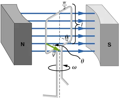 Rysunek przedstawia perspektywiczny widok prostokątnej, pionowej ramki o szerokości w i wysokości l. Ramka obraca się wokół swej osi symetrii, leżącej w jej płaszczyźnie – z prędkością kątową omega, przeciwnie do ruchu wskazówek zegara. Oś obrotu ramki jest równoległa do jej wysokości l. Ramka znajduje się pomiędzy biegunami magnesu. Biegun północny tegoż magnesu znajduje się po lewej stronie ramki, biegun południowy – po jej prawej stronie. Poziome linie sił pola magnesu są zwrócone ku prawej stronie rysunku i wskazują biegun południowy magnesu. Lewy pionowy bok ramki znajduje się bliżej bieguna północnego magnesu. W pewnym punkcie tegoż boku, prostopadle do niego – przyłożony jest wektor prędkości v. Wektor ten jest zwrócony w stronę prawego, dolnego rogu rysunku. Wektor ten tworzy ostry kąt theta z liniami sił pola magnetycznego. Taki sam kąt tworzy odcinek prostej, prostopadły do powierzchni ramki, widoczny po prawej stronie tejże powierzchni.
