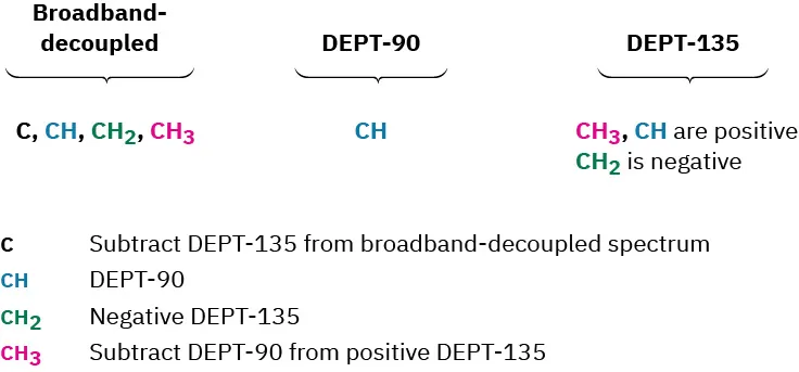 Broadband decoupled (C, C H, methylene, methyl), D E P T-90 (C H), and D E P T-135 groups (methyl, C H-positive, methylene-negative) are labeled.
