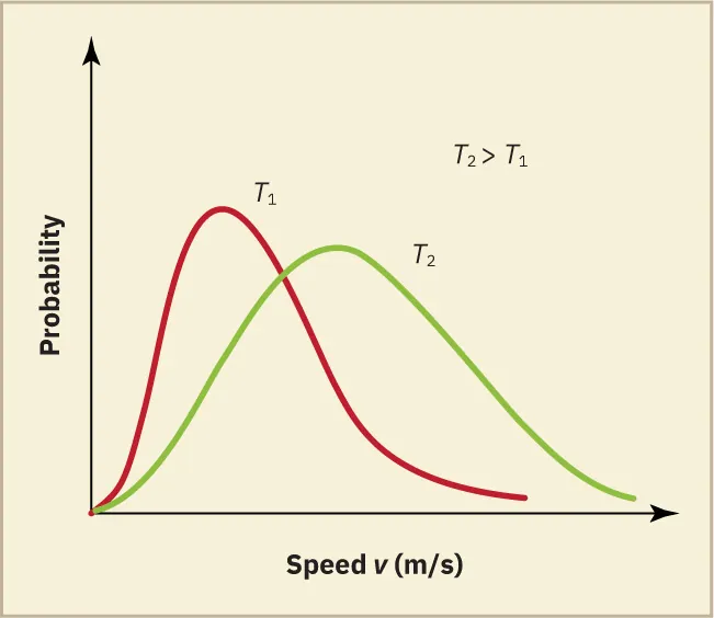 Two distributions of probability versus velocity at two different temperatures plotted on the same graph. Temperature two is greater than Temperature one. The distribution for Temperature two has a peak with a lower probability, but a higher velocity than the distribution for Temperature one. The T sub two graph has a more normal distribution and is broader while the T sub one graph is more narrow and has a tail extending to the right.