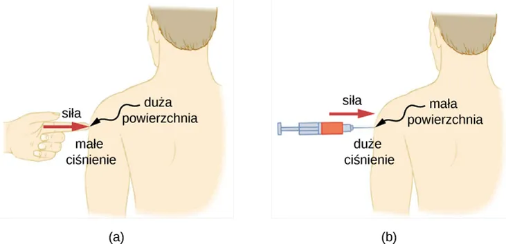 Ilustracja A przedstawia osobę, której skóra jest naciskana palcem na wysokości ramienia. Pokazano, że siła przyłożona jest do dużej powierzchni, wskutek czego ciśnienie jest niewielkie. Ilustracja B prezentuje osobę, której skóra przekłuwana jest igłą nałożoną na strzykawkę, na wysokości ramienia. Pokazano, że siła przyłożona jest do małej powierzchni, co skutkuje dużym ciśnieniem.
