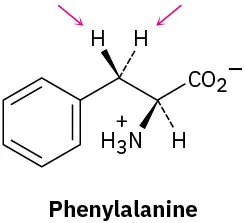 The wedge-dash structure of phenylalanine. Two arrows point toward the hydrogen atoms bonded at C3.