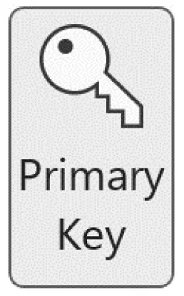 A drawing shows a key inside a rectangle with the words Primary Key printed at the bottom.