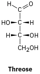 The structure of D threose, an aldose monosaccharide. The molecular formula is C 4 H 8 O 4, with H and O H groups on opposite sides of stereogenic centers.