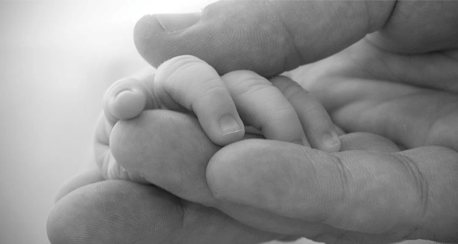 Adult hand holding infant hand.