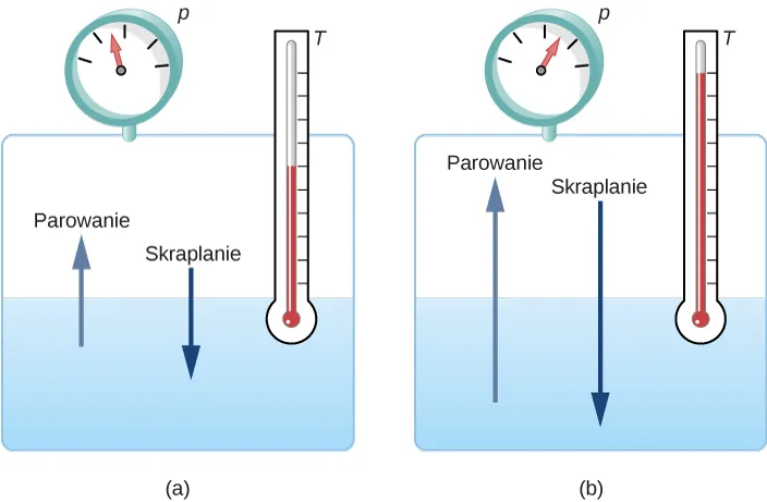 Rysunek a pokazuje zbiornik wody wypełniony do połowy. Strzałka biegnąca z wody ku górze oznacza parowanie. Strzałka skierowana w dół biegnąca od powietrza do wnętrza zbiornika oznacza kondensację. Do zbiornika przyłożony jest ciśnieniomierz i termometr. Rysunek b pokazuje to same ustawienia. Ciśnienie i temperatura na rysunku b są większe niż na rysunku a. Strzałki oznaczające parowanie i kondensację są również dłuższe niż te na rysunku a. 