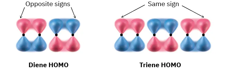 Orbital diagrams of diene and triene HOMO. Ends of diene HOMO are opposite sign. Ends of triene HOMO are same sign.