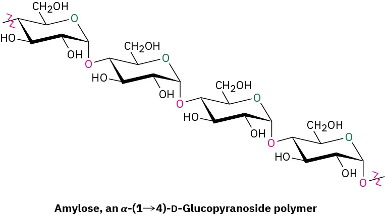 The structure of amylose which is an alpha-1,4-D-glucopyranoside polymer.