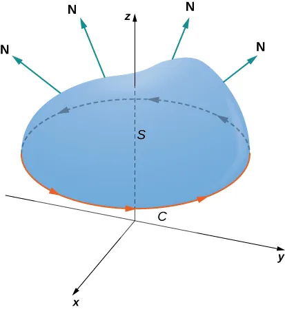 A diagram of a surface S in three dimensions. The orientation of the curve C around its boundary is positive. Various normals are drawn coming off of the surface.