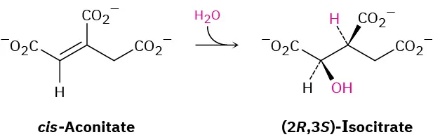 Cis-aconitate having a three-carbon chain and a double bond reacts with water to form (2 R,3 S)-Isocitrate. The double bond is replaced by single bond in the product.