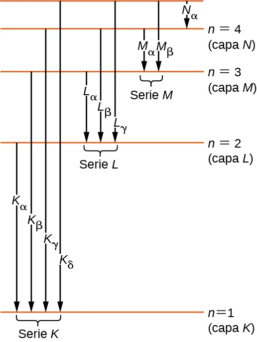 Los diferentes niveles de energía se muestran en forma de líneas horizontales. La línea de la parte inferior está marcada como nivel de energía n igual a uno, o la capa K. Por encima de esta línea, otra línea horizontal está marcada como nivel de energía n igual o capa L. Del mismo modo, se muestran otras líneas en las capas M y N. A medida que nos movemos de abajo hacia arriba, la distancia entre las líneas disminuye. Las transiciones se muestran como flechas desde una línea hacia abajo a una línea inferior y están etiquetadas. Las transiciones de n=2, 3, 4 y 5 al nivel n=1 forman la serie K y son, por orden, las líneas K sub alfa, K sub beta, K sub gama y K sub delta. Las transiciones de n= 3, 4 y 5 al nivel n=2 forman la serie L y son, por orden, las líneas L sub alfa, L sub beta y L sub gama. Las transiciones de n= 4 y 5 al nivel n=3 forman la serie M y son, por orden, las líneas M sub alfa y L sub beta. La transición de n=5 al nivel n=4 también se muestra y se etiqueta como N sub alfa.