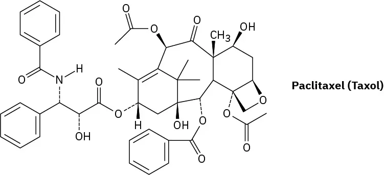 The structure of paclitaxel (Taxol).