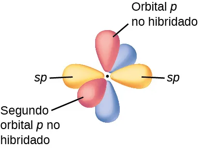Se muestra un diagrama de un átomo de carbono con dos orbitales púrpura en forma de globo marcados como "sp" dispuestos de forma lineal a su alrededor. Cuatro orbitales rojos en forma de globo están alineados en pares en los ejes y y z alrededor del carbono y están marcados como "orbital p no hibridado" y "segundo orbital p no hibridado".