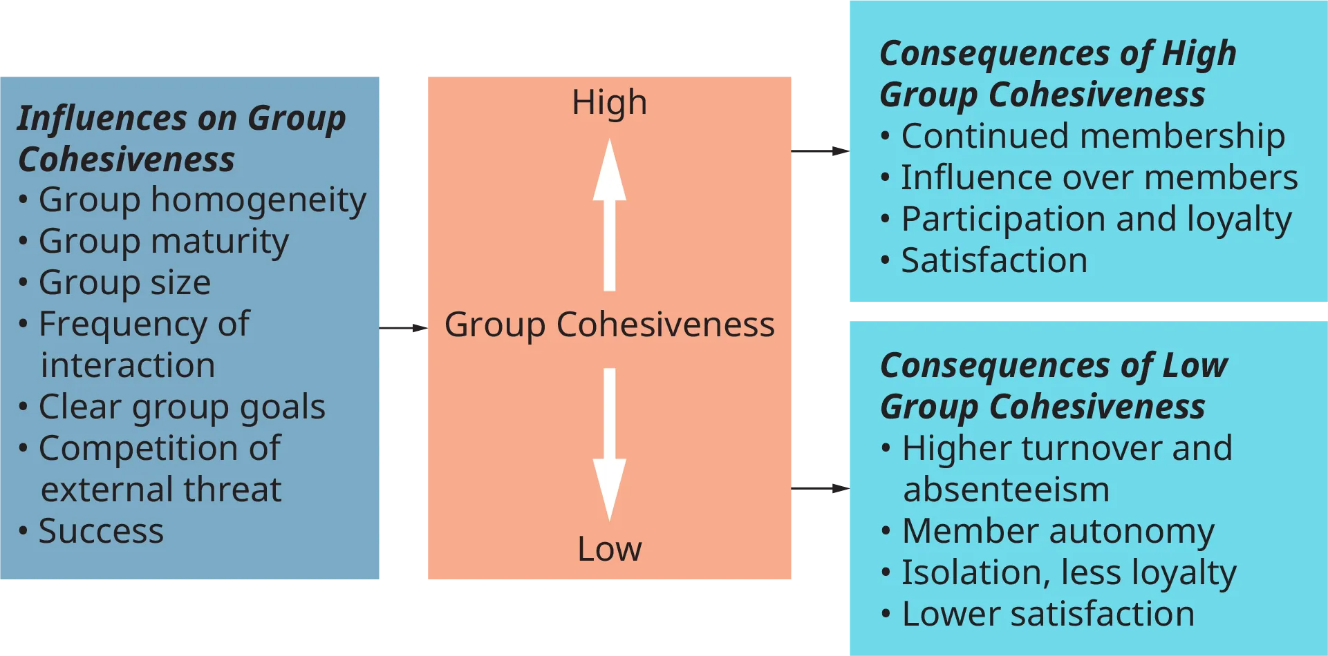 A diagram represents the determinants and consequences of group cohesiveness.