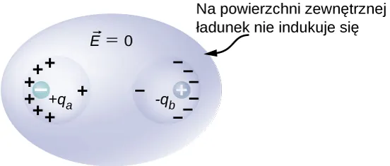 Rysunek pokazuje spłaszczoną kulę, oznaczoną E równe zero. Wewnątrz kuli są dwie wnęki. Na zewnątrz powierzchni spłaszczonej kuli nie ma żadnych ładunków. Lewa wnęka ma ładunek ujemny q wewnątrz. Lewa powierzchnia tej wnęki ma na wiele znaków plus a prawa powierzchnia wnęki jeden znak plus. Wnęka prawa posiada ładunek dodatni q wewnątrz, po prawej stronie. Prawa powierzchnia wnęki ma wiele znaków minus, a lewa ma jeden znak minus. 