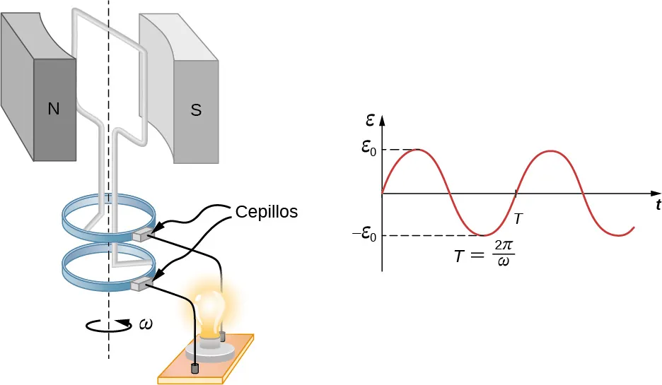 La imagen muestra una sola bobina rectangular que gira a velocidad angular constante entre los polos opuestos del imán. La corriente generada enciende la bombilla. El gráfico muestra la emf en función del tiempo. La emf tiene una forma sinusoidal con un periodo (T).