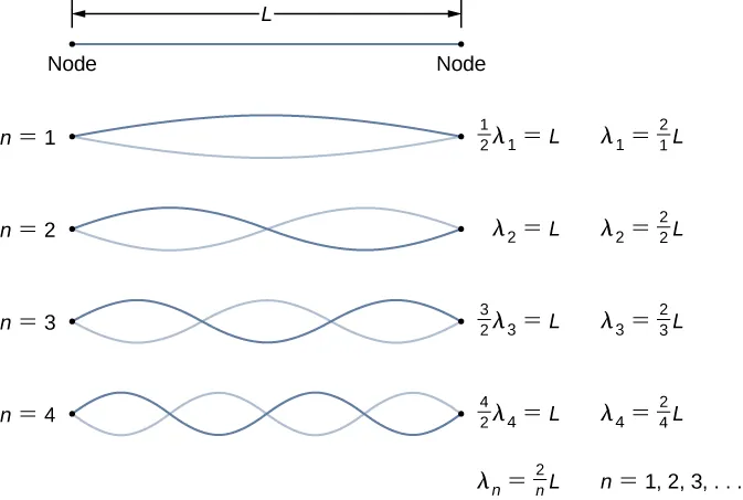 Four figures of a string of length L are shown. Each has two waves. The first one has 1 node. It is labeled half lambda 1 = L, lambda 1 = 2 by 1 times L. The second figure has 2 nodes. It is labeled lambda 2 = L, lambda 2 = 2 by 2 times L. The third figure has three nodes. It is labeled 3 by 2 times lambda 3 = L, lambda 3 = 2 by 3 times L. The fourth figure has 4 nodes. It is labeled 4 by 2 times lambda 4 = L, lambda 4 = 2 by 4 times L. There is a derived formula at the bottom, lambda n equal to 2 by n times L for n = 1, 2, 3 and so on.