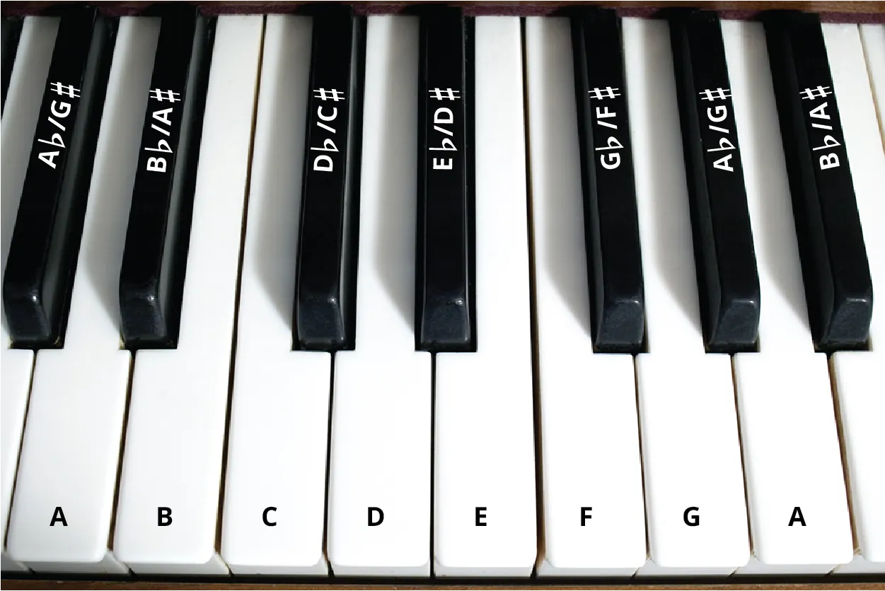 Piano keys and notes. The white keys are labeled A B C D E F G A. The black keys are labeled A flat and G sharp, B flat and A sharp, D flat and C sharp, E flat and D sharp, G flat and F sharp, A flat and G sharp, B flat and A sharp.