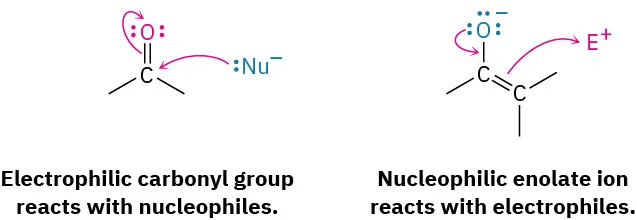 A nucleophile is shows attacking the electrophilic carbonyl carbon; an electrophile is shown being attacked by nucleophilic enolate ion. Curved arrows represent electron movement.