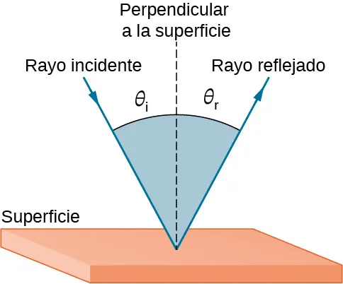 Un rayo de luz incide sobre una superficie lisa y forma un ángulo theta i con respecto a una línea trazada perpendicularmente a la superficie en el punto en el que incide el rayo. El rayo de luz reflejado forma un ángulo theta r con la misma perpendicular trazada a la superficie. El rayo incidente y el reflejado están en el mismo lado de la superficie pero en lados opuestos de la línea perpendicular.
