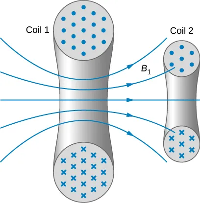 Figure shows the cross sections of two coils. In each one, the cross sections of the wire of the coil are shown as two circles, one at the top and the other at the bottom. Dots in the upper circles and crosses in the lower ones indicate the direction of flow of current. Coil 1 has field lines labeled B1 passing from between the two circles, going right. Some of these pass through coil 2, which is smaller than coil 1.