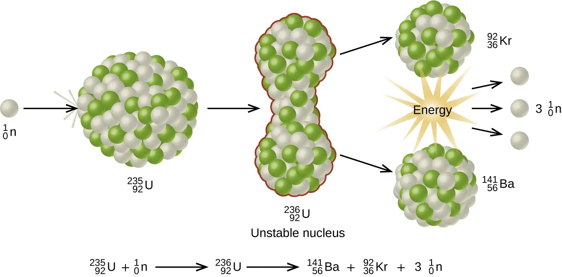 A diagram is shown which has a white sphere labeled “superscript, 1, subscript 0, n” followed by a right-facing arrow and a large sphere composed of many smaller white and green spheres labeled “superscript, 235, subscript 92, U.” The single sphere has impacted the larger sphere. A right-facing arrow leads from the larger sphere to a vertical dumbbell shaped collection of the same white and green spheres labeled “superscript, 236, subscript 92, U, Unstable nucleus.” Two right-facing arrows lead from the top and bottom of this structure to two new spheres that are also composed of green and white spheres and are slightly smaller than the others. The top sphere is labeled “superscript, 92, subscript 36, K r” while the lower one is labeled “superscript, 141, subscript 56, B a.” A starburst pattern labeled “Energy” lies between these two spheres and has three right-facing arrows leading from it to three white spheres labeled “3, superscript, 1, subscript 0, n.” A balanced nuclear equation is written below the diagram and says “superscript, 235, subscript 92, U, plus sign, superscript, 1, subscript 0, n, yield arrow, superscript, 236, subscript 92, U, yield arrow, superscript, 141, subscript 56, B a, plus sign, superscript, 92, subscript 36, K r, plus sign, 3, superscript, 1, subscript 0, n.”
