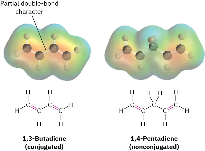 The electrostatic potential maps and structural formulas of 1,3-butadiene (conjugated) and 1,4-pentadiene (nonconjugated). The single bond between C2-C3 in 1,3-butadiene is labeled partial double-bond character.