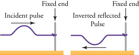 A wave travels to the right, hits the fixed end, flips vertically, and travels to the left.