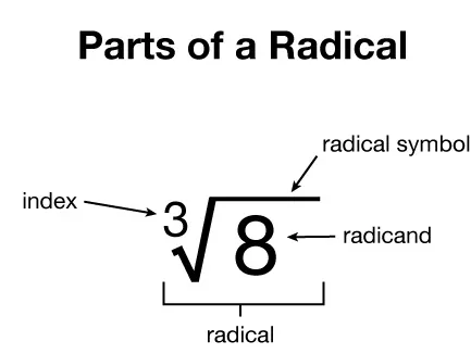 A labeled diagram showing the parts of a radical: the index (3), the radical symbol, and the radicand (8). The term radical is labeled to encompass the entire expression.