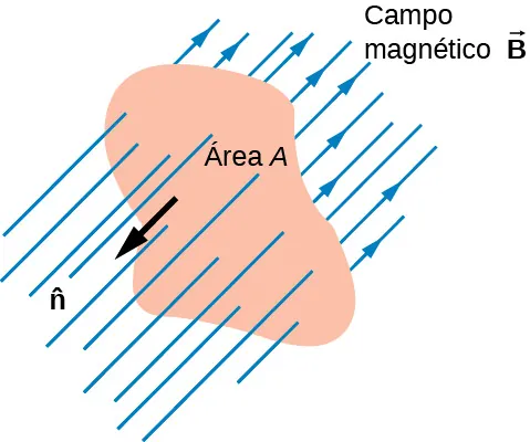 La figura muestra un campo magnético uniforme B que atraviesa una superficie A.
