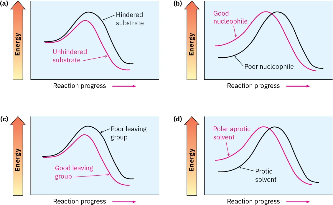 Four energy diagrams show faster reaction  with unhindered substrate (lower product energy), good nucleophile (higher reactant energy), good leaving group (lower product energy) and polar aprotic solvent (higher reactant energy).