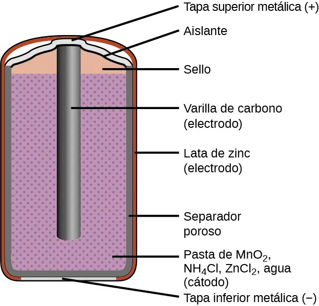 Se muestra un diagrama de una sección transversal de una pila seca. La forma general de la pila es cilíndrica. La superficie lateral del cilindro, indicada como una fina línea roja, está marcada como "lata de zinc (electrodo)". Justo debajo de esto hay una superficie gris oscura ligeramente más gruesa que cubre la superficie lateral, la parte superior y la parte inferior de la batería, que está marcada como "Separador poroso". En el interior hay una región púrpura con muchos pequeños puntos púrpura más oscuros uniformemente espaciados, marcada como "Pasta de M n O subíndice 2, N H subíndice 4 C l, Z n C l subíndice 2, agua (cátodo)". Una varilla de color gris oscuro, marcada como "Varilla de carbono (electrodo)", se extiende desde la parte superior de la batería, dejando un espacio de menos de un quinto de la altura de la batería por debajo de la varilla hasta el fondo del cilindro. Un fino segmento de línea gris en la parte inferior del cilindro está marcado como "Cubierta inferior metálica (negativo)". La parte superior del cilindro tiene una fina superficie gris que se curva hacia arriba en el centro sobre la parte superior del electrodo de carbono en el centro del cilindro. Esta superficie superior está marcada como "Cubierta superior metálica (positivo)". Una delgada línea gris oscura justo debajo de esta superficie está marcada como "Aislante". Debajo de esto, por encima de la región púrpura, y fuera del electrodo de carbono en el centro hay una región naranja que está marcada como "Sello".