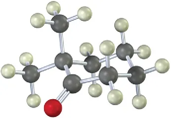 A ball-stick model of a compound comprising a chair conformation of cyclohexanone with two methyl groups alpha on C 2. Black, gray, and red spheres represent carbon, hydrogen, and oxygen, respectively.