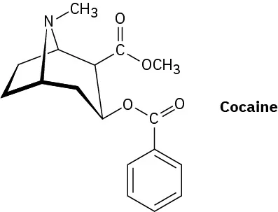 The structure of cocaine.
