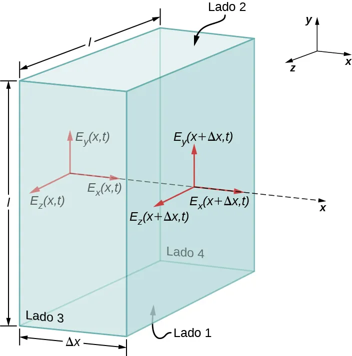 La figura muestra una caja rectangular de dimensiones l por l por delta x. Los lados superior e inferior, paralelos al plano xz, están marcados como lado 2 y lado 1, respectivamente. Los lados anterior y posterior, paralelos al plano xy se marcan lado 3 y lado 4 respectivamente. Tres flechas se originan en un punto del lado izquierdo. Estas se encuentran a lo largo de los ejes x, y y z y se denominan respectivamente E subíndice x paréntesis x, t paréntesis, E subíndice y paréntesis x, t paréntesis y E subíndice z paréntesis x, t paréntesis. Otras tres flechas se originan en el punto en el que el eje x se interseca con el lado derecho de la caja. Estas también están a lo largo de los ejes x, y y z y se etiquetan respectivamente como E subíndice x paréntesis x más delta x, t paréntesis, E subíndice y paréntesis x más delta x, t paréntesis y E subíndice z paréntesis x más delta x, t paréntesis.