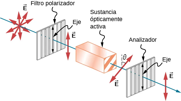 La figura muestra un rayo de luz inicialmente no polarizado que atraviesa tres elementos ópticos. El primero es un filtro polarizador vertical, por lo que el campo eléctrico es vertical después de que el rayo lo atraviese. A continuación viene un bloque marcado como sustancia ópticamente activa. El campo eléctrico sale del bloque girado por un ángulo theta con respecto a la vertical. Finalmente, el rayo pasa a través de otro polarizador vertical que se denomina analizador. El campo eléctrico final vuelve a estar polarizado verticalmente.